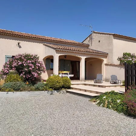 Le Platane Montagnac (Alpes-de-Haute-Provence)